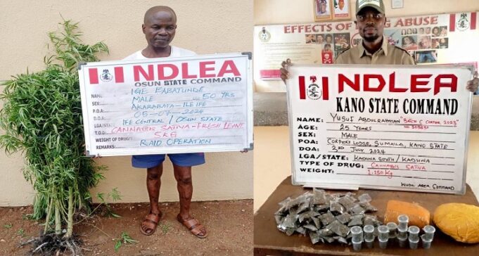 Osun monarch and NYSC member arrested for drug trafficking Osun