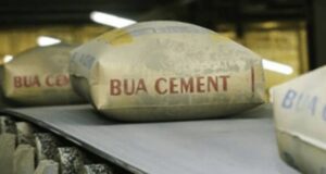 BUA Cement profit rises to N356bn as revenue hits N1.179trn BUA Cement, Penstock