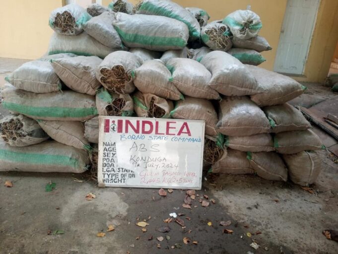 Seized drugs in Edo Custard containers