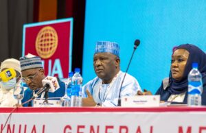 BUA Cement revenue hits N460bn, nets N69.5bn profit BUA Cement