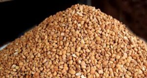 EU ban on Nigerian beans causes $363M annual loss Beans price