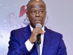 Edun: Nigeria’s economy records strongest growth in 10 years Economy, Edun