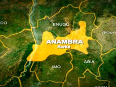Police arrest fake JAMB coordinator in Anambra Container, Anambra, Graves