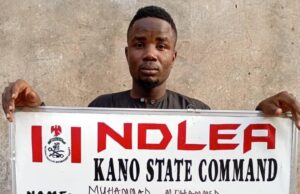 NDLEA arrests bandits’ supplier with drugs in private parts