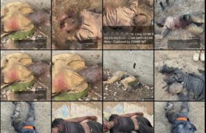 Troops repel ISWAP attack on Damboa, eliminate 16 terrorists