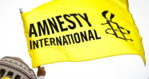 Amnesty International faults FG over killing of 17 in Benue