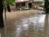 Death toll from Niger flood rises to 115