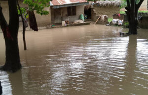 Death toll from Niger flood rises to 115