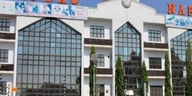 NAFDAC denies secret ban on Amoxicillin in Nigeria
