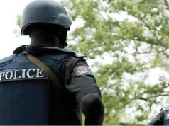 Police arrest suspected ammunition courier for Zamfara bandits