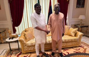 Fubara meets Tinubu in Aso Rock Tinubu, Fubara