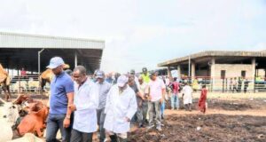 Lagos govt seals Oko-Oba Abattoir over environmental violations Lagos