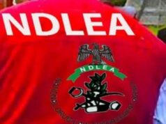 NDLEA seizes 64 bags of cannabis hidden in cement truck in Kano