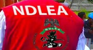 NDLEA nabs pastor, wife with skunk in Lagos