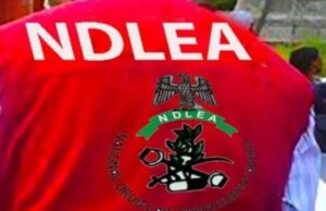 NDLEA seizes 64 bags of cannabis hidden in cement truck in Kano