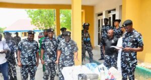 Police arrest 210 suspects, seize drugs, weapons in Borno Police