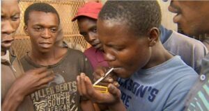 NDLEA: 4 out of 10 undergraduates are into drugs NDLEA