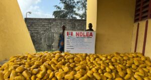 2 women arrested for drug dealing in Edo Women