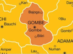 54 die from snakebites in Gombe