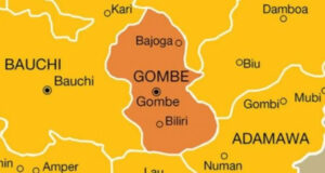 Gombe farmers raise the alarm over rising Hippo attacks
