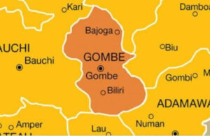54 die from snakebites in Gombe