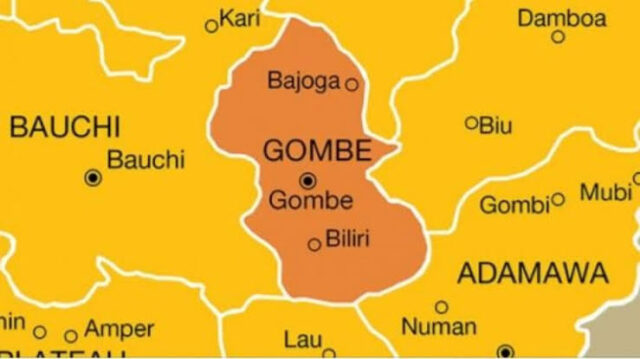 Gombe farmers raise the alarm over rising Hippo attacks