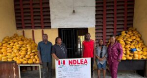 Couple, daughters arrested for drug dealing in Lagos Drug