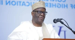 Gambari reveals how cabal bypassed him to deliver memos to Buhari