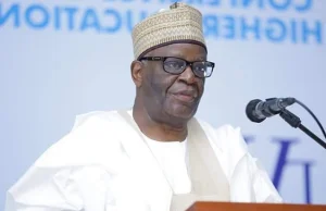 Gambari reveals how cabal bypassed him to deliver memos to Buhari