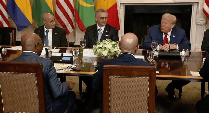 Trump, Liberian president, and other African leaders Liberian president