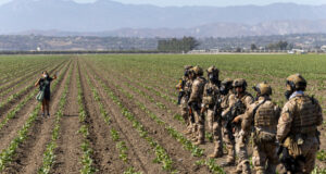 Worker dies, many arrested after U.S. immigration raid on farm Worker