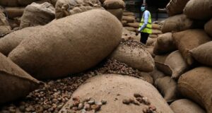 Nigeria donates seedlings to boost agricultural ties with Ethiopia