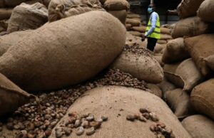 Nigeria donates seedlings to boost agricultural ties with Ethiopia