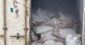 Customs intercept donkey genitals in wildlife smuggling bust