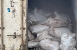 Customs intercept donkey genitals in wildlife smuggling bust