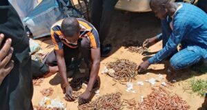 Troops intercept ammunition cache on Maiduguri–Kaduna highway
