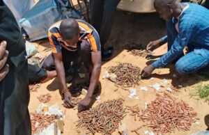 Troops intercept ammunition cache on Maiduguri–Kaduna highway