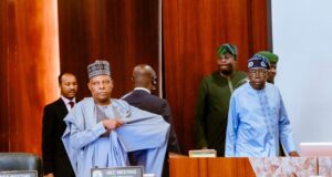 Tinubu to govs: Prioritise Nigerians’ welfare, we must develop rural areas Tinubu