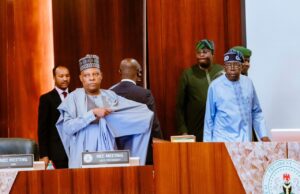 Tinubu to govs: Prioritise Nigerians’ welfare, we must develop rural areas Tinubu