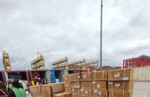 NDLEA intercepts N7.8bn drugs, nabs kingpin in Delta NDLEA