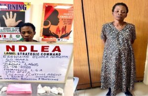NDLEA arrests widow using fake pregnancy to traffic cocaine NDLEA