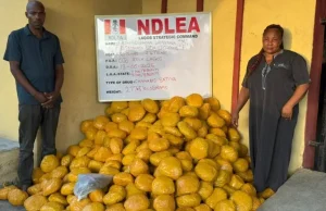 Court sentences couple to 20 years in prison for drug trafficking