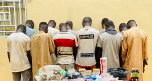 NDLEA arrests 49 in Kano drug raids