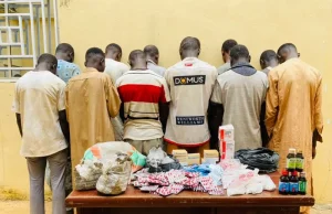 NDLEA arrests 49 in Kano drug raids