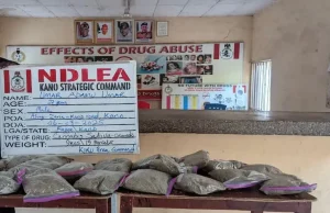 NDLEA intercepts 9kg of cannabis in Kano