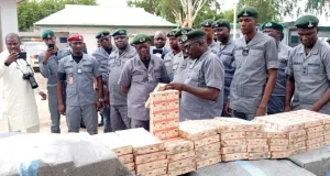 Customs seizes N690m worth of drugs in Katsina