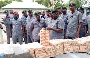 Customs seizes N690m worth of drugs in Katsina