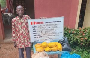 NDLEA arrests 75-year-old man for drug trafficking