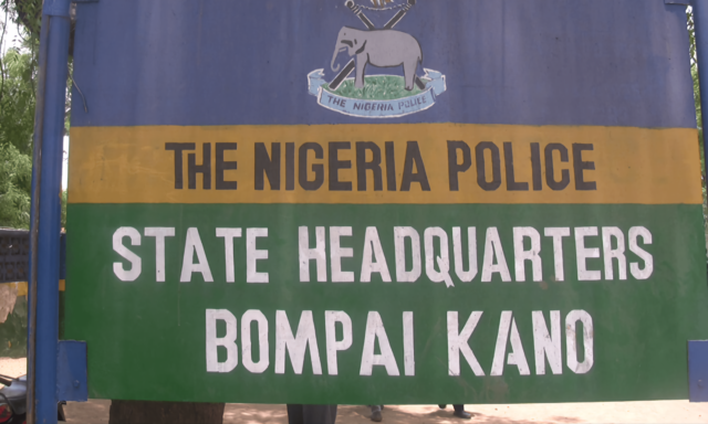 Police arrest 230 suspects in Kano