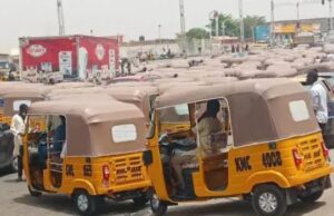 Police warn underage against riding tricycles in Kano